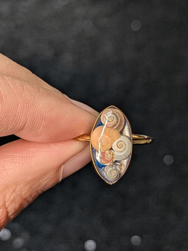 Bague coquillages 