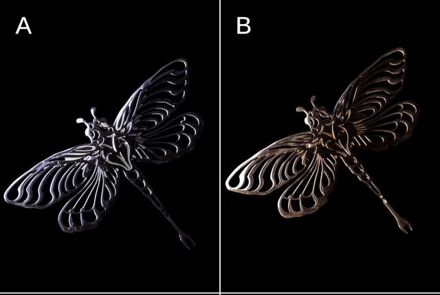 Broche libellule 