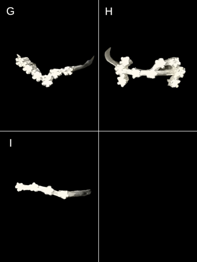 Bague constellation 
