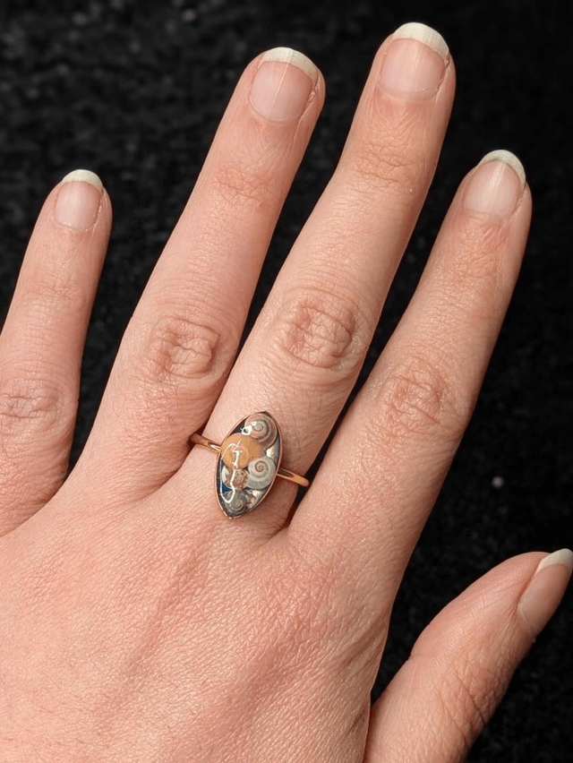 Bague coquillages 