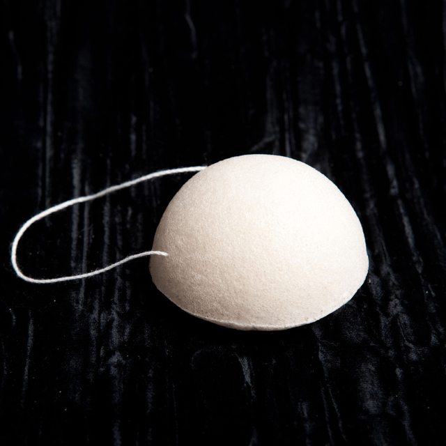 Konjac (2 modèles)