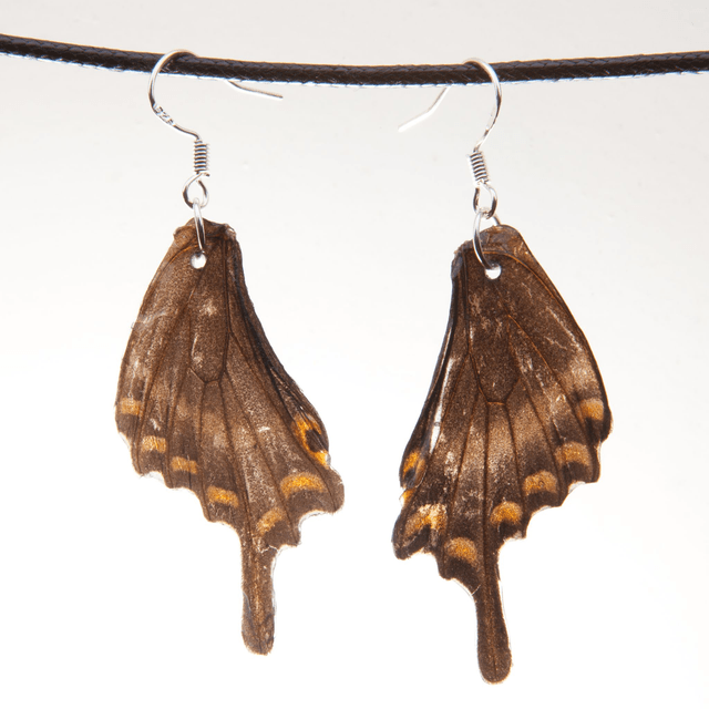 Boucles d'oreilles Léonie