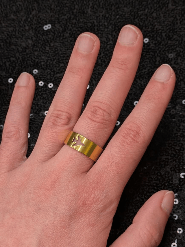 Bague avion (2 modèles) 