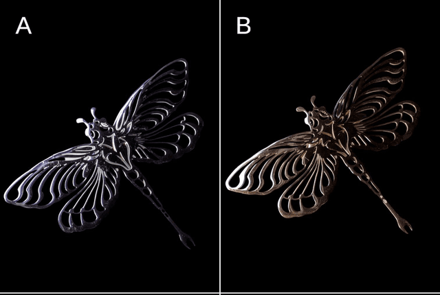 Broche libellule 