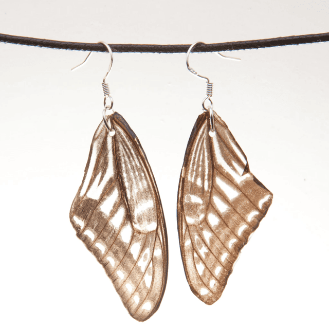 Boucles d&#039;oreilles Éva