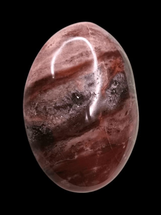 Bois fossile