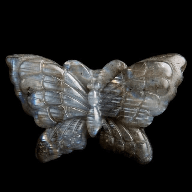 Papillon labradorite
