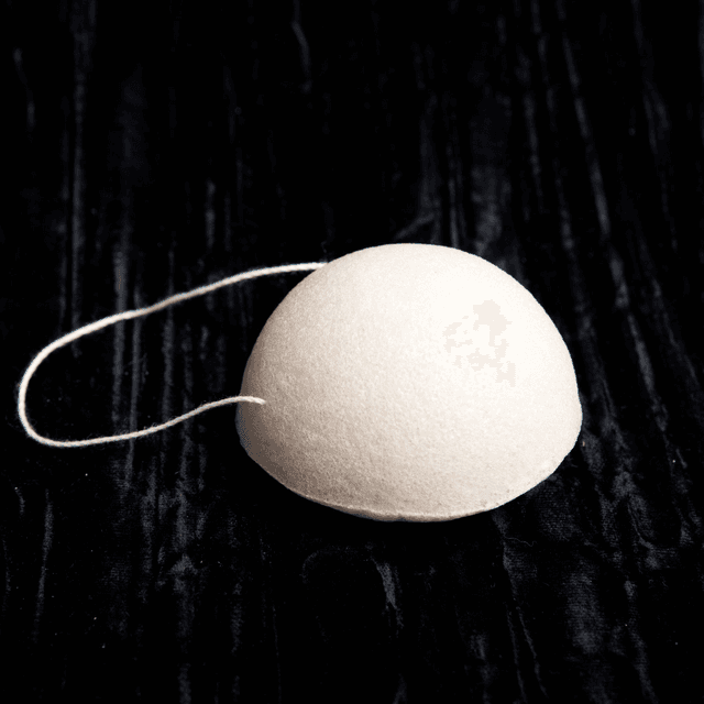 Konjac (2 modèles)